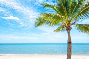 Coconut trees on the beach, Pattaya  THAILAND