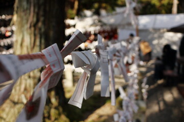 紐に結びつけられたおみくじ