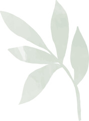 Watercolor leaf branch illustration