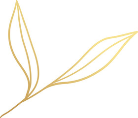 Gold leaf branch illustration