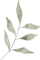 Watercolor leaf branch illustration