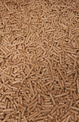 Flatlay of wood pellet. Macro shot of renewable and sustainable fuel. Pellet 6mm rolls is a byproduct of the wood industry