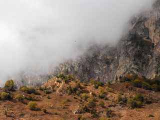 Soft focus. Mountains in a dense fog and sunny slope. Mystical landscape with beautiful sharp rocks in low clouds. Beautiful mountain foggy scenery on abyss edge with sharp stones.