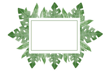 Tropical leaves square frame  watercolor. Jungle leaves frame. Monstera, palm leaves. Hand painted illustration isolated on white background. Wedding postcard clip art, Logo element.