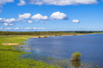Landscape view with a bay in a lake with a wetland