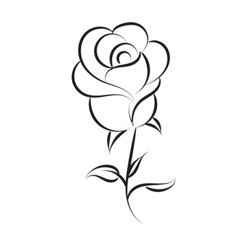Rose Vector Image. Line Art Tattoo. Rose flower on white background for holiday or retro design
