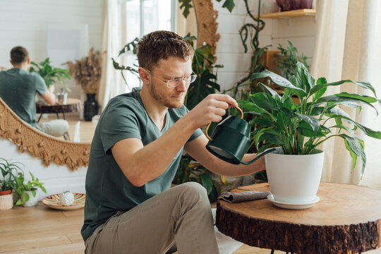 Man watering plants at home from a watering can. Housework and care plant concept