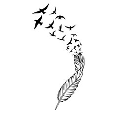 Feather to Birds