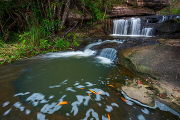 waterfall in the forest