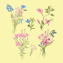 Fototapeta na wymiar Collection of different medical herbs, wild flower or treatment plants in realistic, natural style. Botanical, decorative wildflowers. Flat vector hand drawn illustration isolated on white background 
