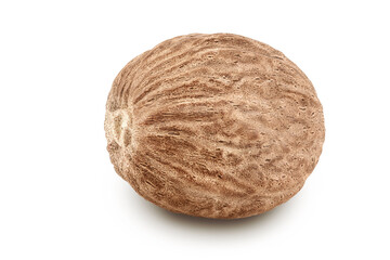 nutmeg isolated on white background with full depth of field