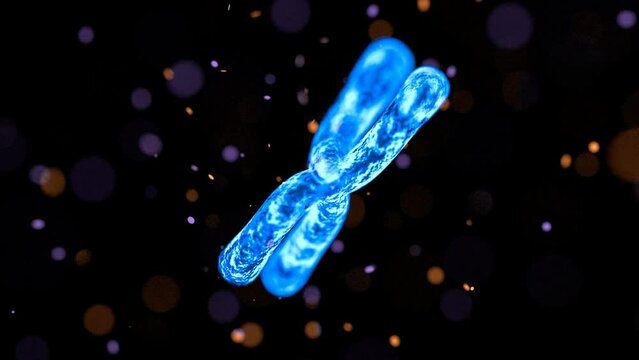 Chromosome Abstract Scientific Background. Looped 3D animation