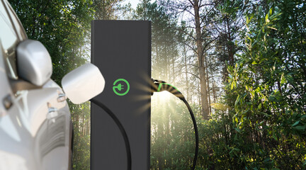 Close up of electric car inlet with a connected charging cable on a background of forest	
