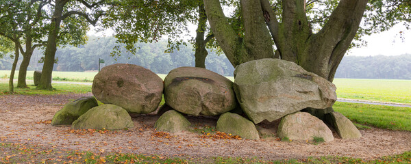 Pair of dolmen D21 and D22 overgrown by big tree in autumn setting in small village Bronnger atHondsrug in Drenthe The Netherlands