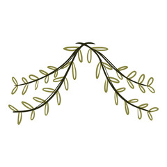 elegant outline branch with leaves for wedding invitation header or footer ornament