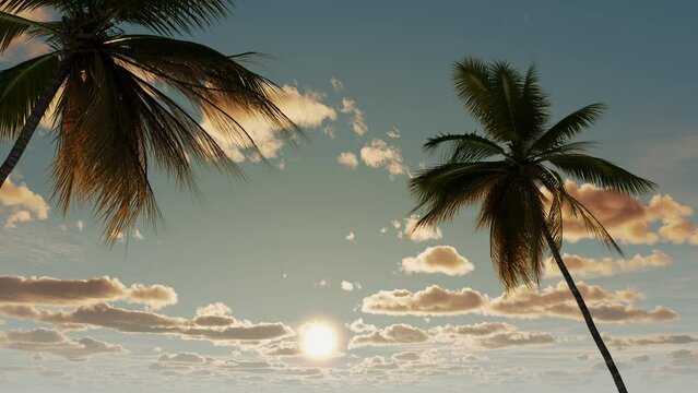 Beautiful sunset against the backdrop of palm trees and clouds. 
Landscape, nature weekend, vacation.