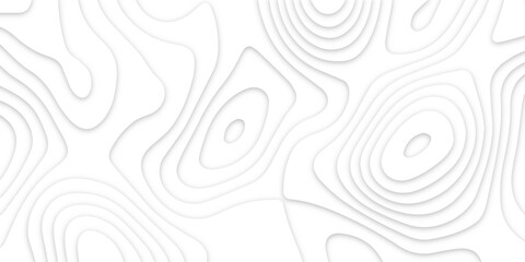 Abstract wavy line 3d paper cut white background. Topographic canyon geometric map relief texture with curved layers and shadow. Abstract realistic papercut decoration textured with wavy layers