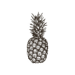 pineapple vintage
