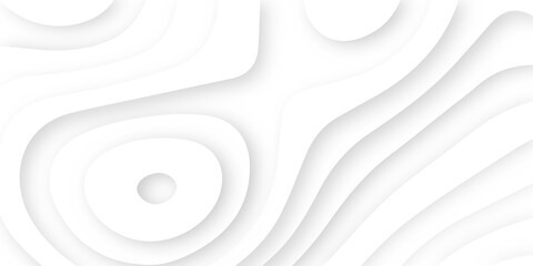 Abstract wavy line 3d paper cut white background. Topographic canyon geometric map relief texture with curved layers and shadow. Abstract realistic papercut decoration textured with wavy layers	