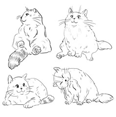 Cute cats vector illustration set, line drawing