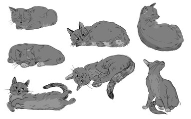 Vector illustration set of cute cats with a bow on a light background