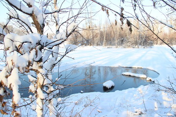 reflectireflection of te trees  on the lake in winteron of te trees  on the lake in winter