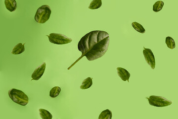 Spinach leaves levitate pattern on green background copy space 