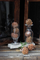 vintage still life with pine cones