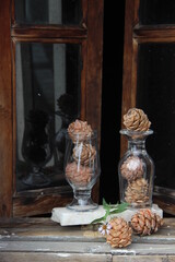 brown pine cones with white flowers