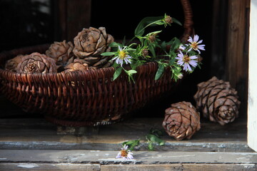brown pine cones with white flowers