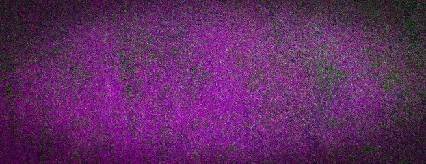 Purple texture background. Rusty metal surface with copy space.