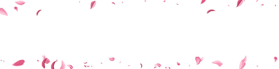 Beautiful Petal Fly Vector White Panoramic
