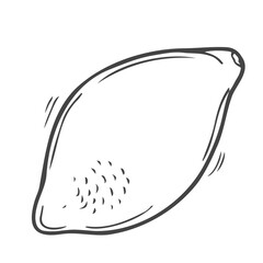 Lemon doodle icon in vector