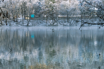 Karst deep-water lake in the mountains. Lake in winter with a view of snow-covered trees. Trees in the snow growing on the mountainside. Clean water in a non-freezing mountain lake. Fog on the lake.