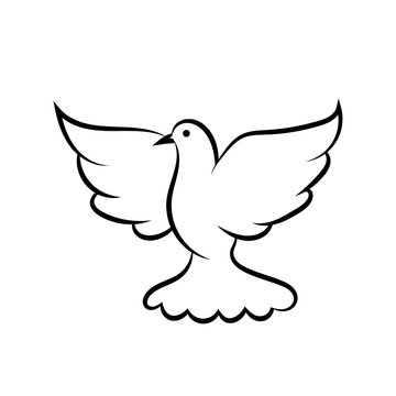 Line art dove. Flying pigeon logo drawing. Black and white vector illustration.