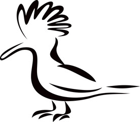 Simple illustration of hoopoe bird