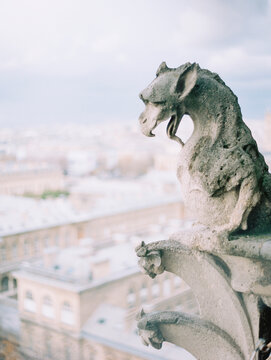 Detail of gargoyle, Notre Dame de Paris, Paris, France
