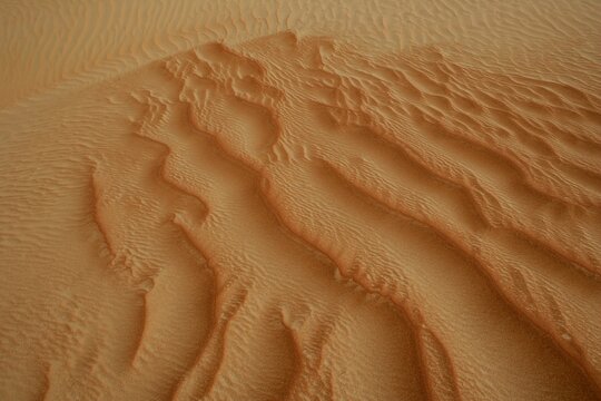 Sand dunes at the Empty Quarter desert in the Emirate of Abu Dhabi, United Arab Emirates