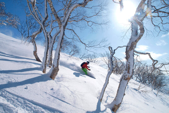 A skier descends a mountain slope with powder snow in the ski area of Niseko, Japan.
