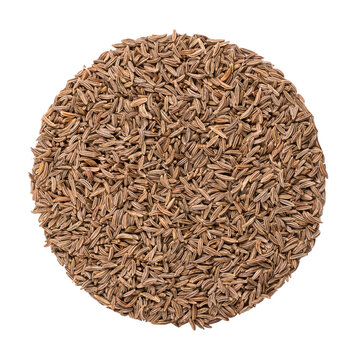 Caraway seeds, circle, close-up, isolated, from above. Disk made of whole dried fruits of meridian fennel, also known as Persian cumin, Carum carvi, with anise like flavor and aroma, used as a spice.