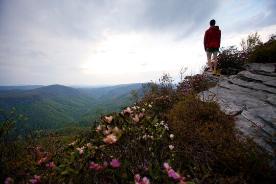 Man stands on rock over gorge (scenic)