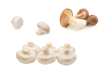 Champignon mushroom isolated on white background.