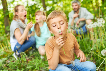 Fototapeta Boy blowing dandelion with family in background at forest obraz