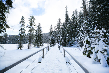 large Arbersee snow-covered in the Bavarian Forest