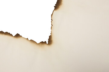 burn paper texture piece torn burned edge