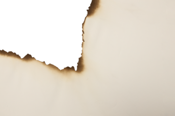 burn paper texture piece torn burned edge