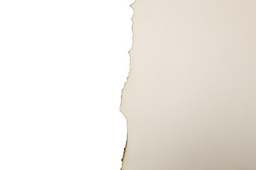 burn paper texture piece torn burned edge