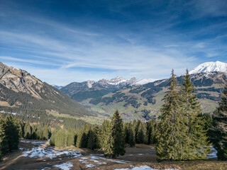 view of the alps in a green winter 