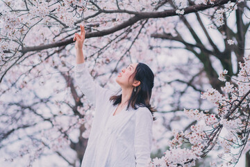 桜と女性