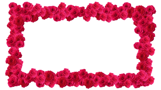 frame rose flower for valentine day or wedding event